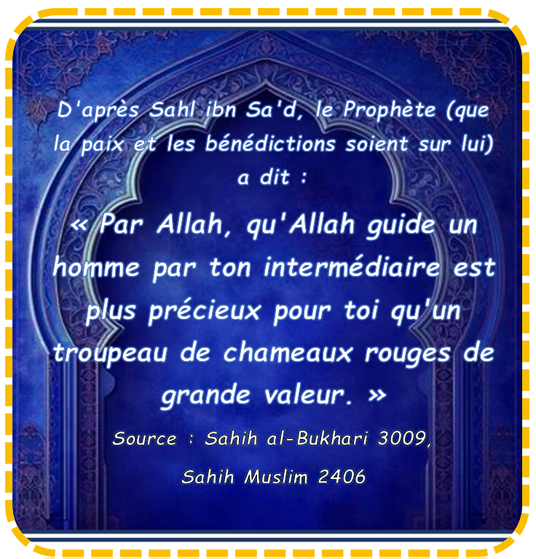 Guide1as