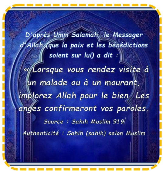 voisins2a